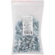 Винт с полуцилиндрич. головкой с полной резьбой оцинков. DIN 7985 6х20 100 шт Фасовка (27733-0)