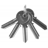 Заготовка ключа для цилиндровых механизмов английский тип 5 шт ЗУБР 52195_z01