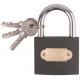 Замок навесной железный 50х40 мм, стальная дужка 7 мм (67150)