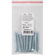 Болт сантехнический 6х50 мм DIN 571, 10 шт 31605-0