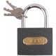 Замок навесной железный 75х58 мм, стальная дужка 9 мм (67175)