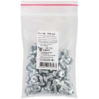 Винт с полуцилиндрич. головкой с полной резьбой оцинков. DIN 7985 5х10 100 шт Фасовка (27715-0)