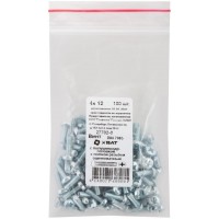 Винт с полуцилиндрич. головкой с полной резьбой оцинков. DIN 7985 4х12 100 шт Фасовка (27702-0)