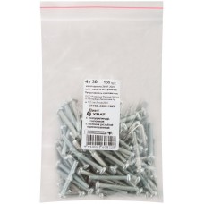 Винт с полуцилиндрич. головкой с полной резьбой оцинков. DIN 7985 4х30 100 шт Фасовка (27708-0)