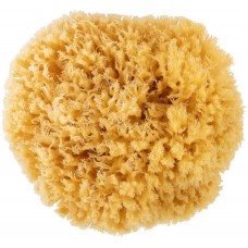 Губка натуральная морская, для декорирования, 12/13 см (30-2002)