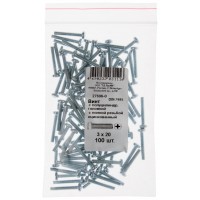 Винт с полуцилиндрич. головкой с полной резьбой оцинков. DIN 7985 3х20 100 шт Фасовка (27696-0)