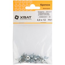 Шурупы оцинкованные, универсальные 4 х 12 (фасовка 30 шт) (20312-2)