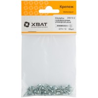 Шурупы оцинкованные, универсальные 2,5 х 12 (фасовка 53 шт.) (20012-2)