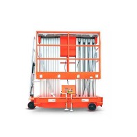 Подъемник мачтовый сетевой 200 кг 10/12 м TOR GTWY10-200S AC 220В 2-мачт. (G) (1015949)