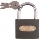 Замок навесной железный 60х48 мм, стальная дужка 7,5 мм (67163)
