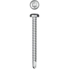 Саморез нержавеющий 50?4.8 мм DS-P А2 сверло полукруглая головка ТХ25 150 шт KRAFTOOL 300931-48-050