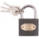 Замок навесной железный 38х32 мм, стальная дужка 5,2 мм (67138)