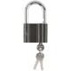 Замок навесной стальной корпус PALLADIUM ( 601S ) 70х54 мм, стальная дужка 11 мм (67089)