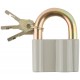 Замок навесной, корпус из алюминиевого сплава 65х44 мм, стальная дужка 12 мм (67016)