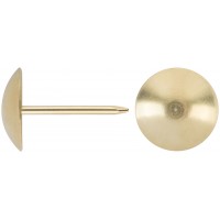 Гвозди мебельные латунированные 10,5 мм, большая головка (фасовка 25 шт) (31111-2)