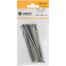 Гвозди строительные ГОСТ 4028-63 4,0х100 (фасовка 100 гр.) (29238-2)