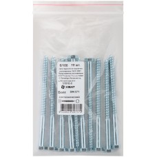 Болт сантехнический 6х100 мм DIN 571, 10 шт 31610-0