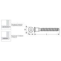 Винт-конфирмат 7?70 мм цинк 1800 шт ЗУБР 4-308050-70-070
