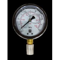 Манометр гидравлический; 1000 бар; 100 мм; М20х1,5, GARWIN PRO, 819050-2