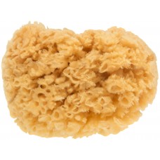 Губка натуральная морская, для декорирования, 100х110 мм (30-2001)