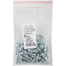 Винт с полуцилиндрич. головкой с полной резьбой оцинков. DIN 7985 4х20 100 шт Фасовка (27706-0)