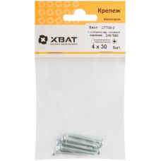 Винт с полуцилиндрич. головкой с полной резьбой оцинков. DIN 7985 4х30 8 шт.(фасовка) (27708-2)