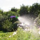 Опрыскиватель ручной усиленный с горловиной 5 л, с насосом, шлангом и разбрызгивателем Palisad (64745)