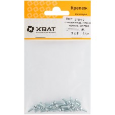 Винт с полуцилиндрич. головкой с полной резьбой оцинков. DIN 7985 3х8 22 шт.(фасовка) (27691-2)