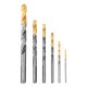 Набор сверл по металлу, 2-8мм, Р6М5К8-TiN, Golden Tip, 6 шт Denzel (723004)