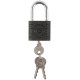 Замок навесной чугунный корпус PALLADIUM (305F ) 40х33 мм, стальная дужка 6,3 мм (67080)
