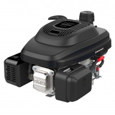 Двигатель бензиновый EVOline XP 225 A (произведено Zongshen)