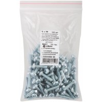 Винт с полуцилиндрич. головкой с полной резьбой оцинков. DIN 7985 5х20 100 шт Фасовка (27719-0)