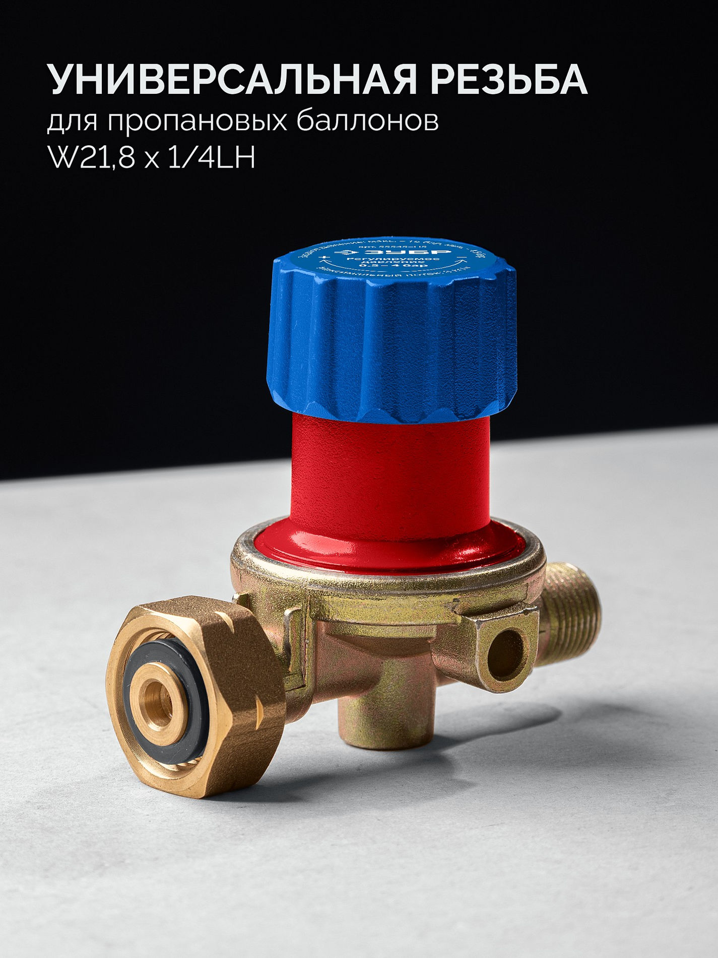 Горелка пропановая в наборе ГП-400Н 400 мм, стаканы 50 мм / 17 мм, шланг 5 м, редуктор ЗУБР Профессионал 55545-H5