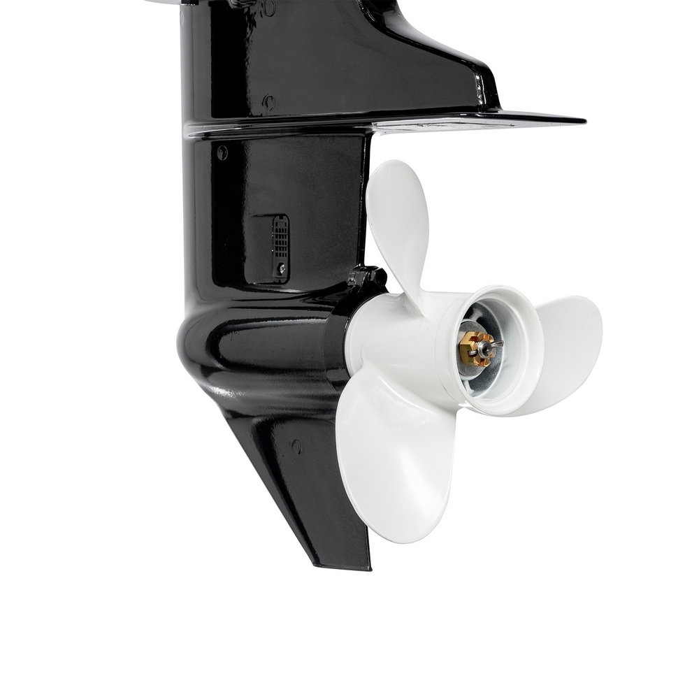 F9.8BMS (F9.8BMS)