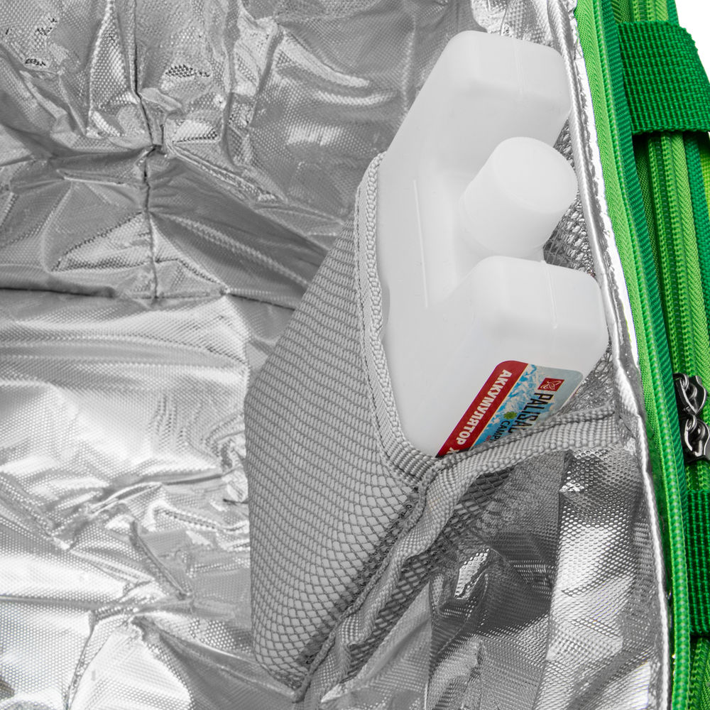 Сумка холодильник 320 x 250 x 240 мм, с двумя охлаждающими блоками Camping Palisad (69597)