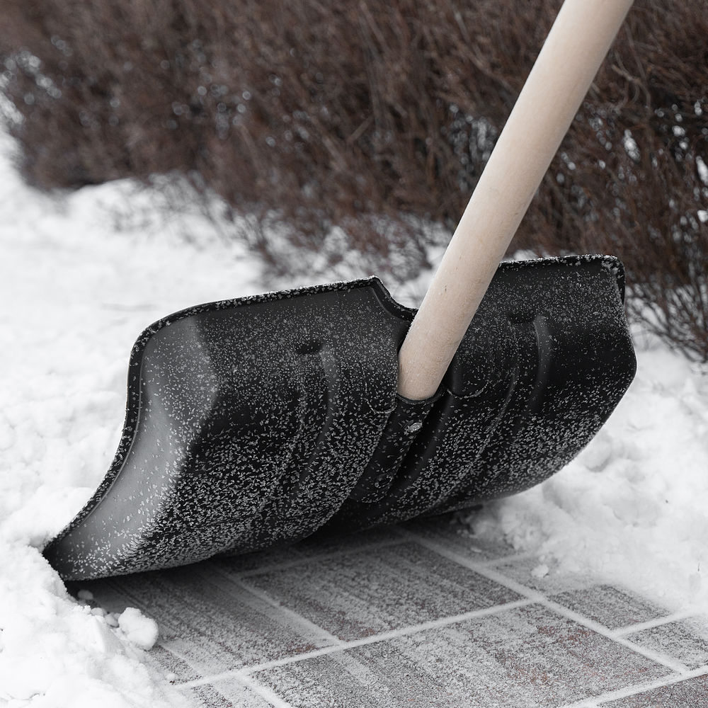 Лопата для уборки снега пластиковая, 380х385х1420 мм, оцинк. планка, деревянный черенок (6157453)