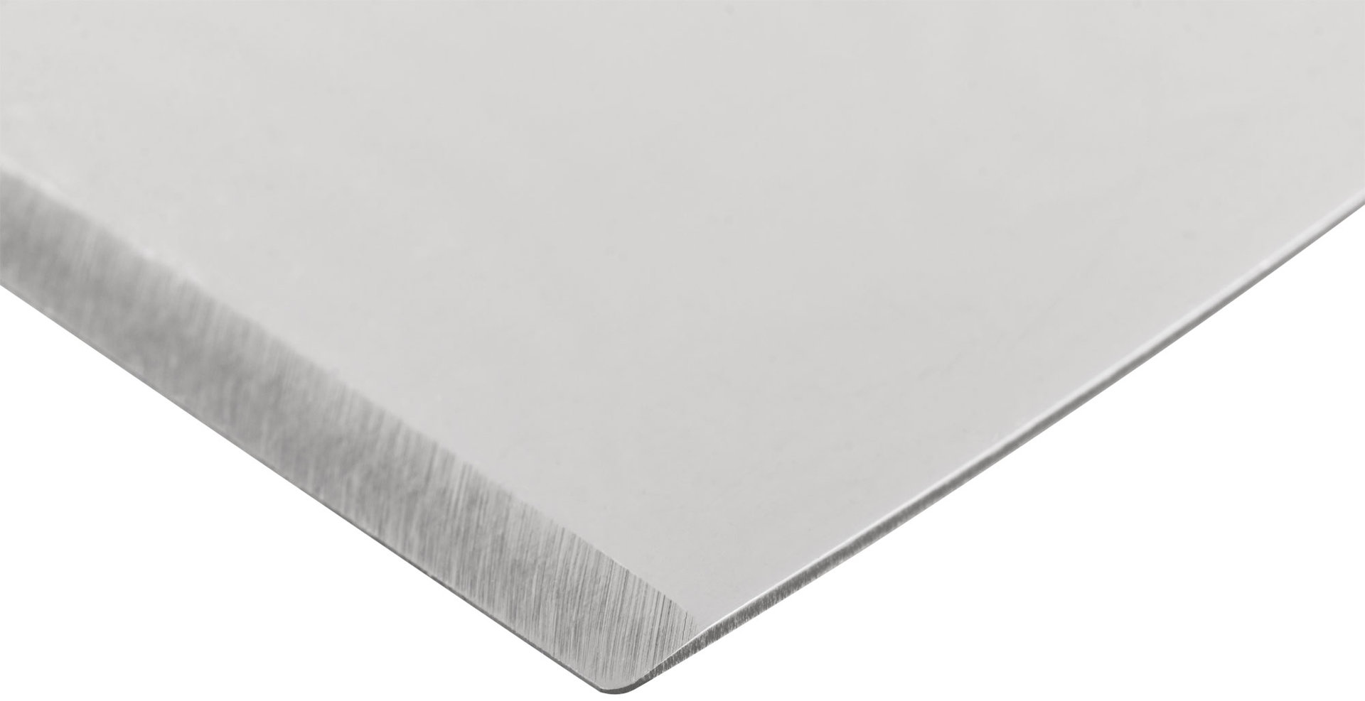 Шпатель для удаления ржавчины Профи, толщ. лезвия 1 мм, пластик.ручка с метал.бойком 2 (50 мм) (06390)