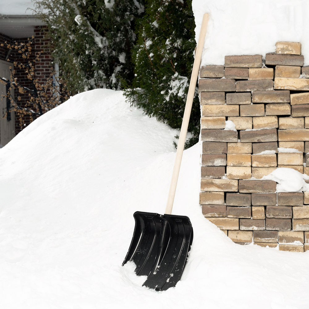 Лопата для уборки снега пластиковая, 380х360мм, без черенка, Сибртех (61696)