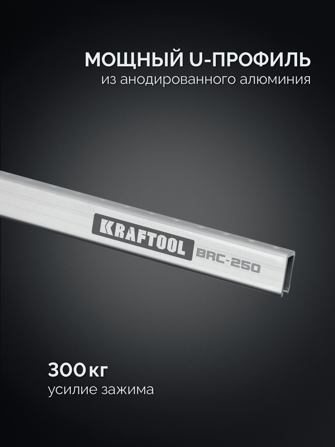 KRAFTOOL BRC-250, 2540/48 мм, высокоточная струбцина-вайма (32313-250)