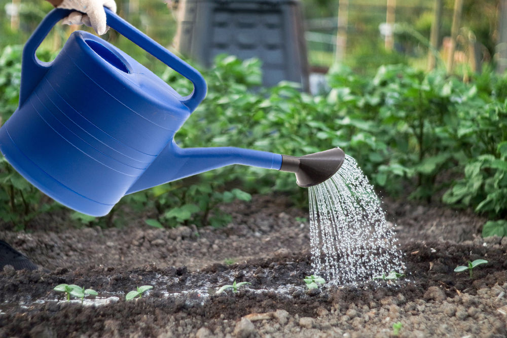 Лейка садовая, 10 л, пластмассовая (67520)