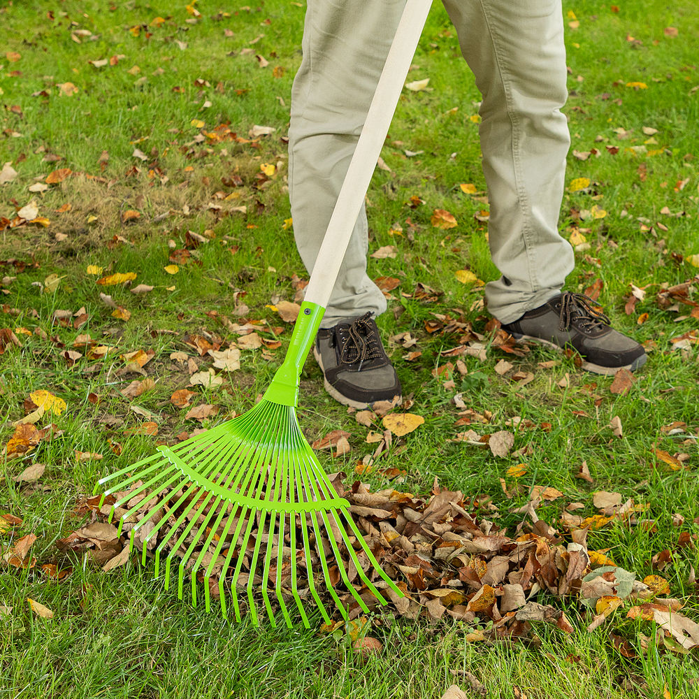 Грабли веерные стальные, 425 мм, 22 плоских зуба, эмалированные, без черенка, Palisad (617705)