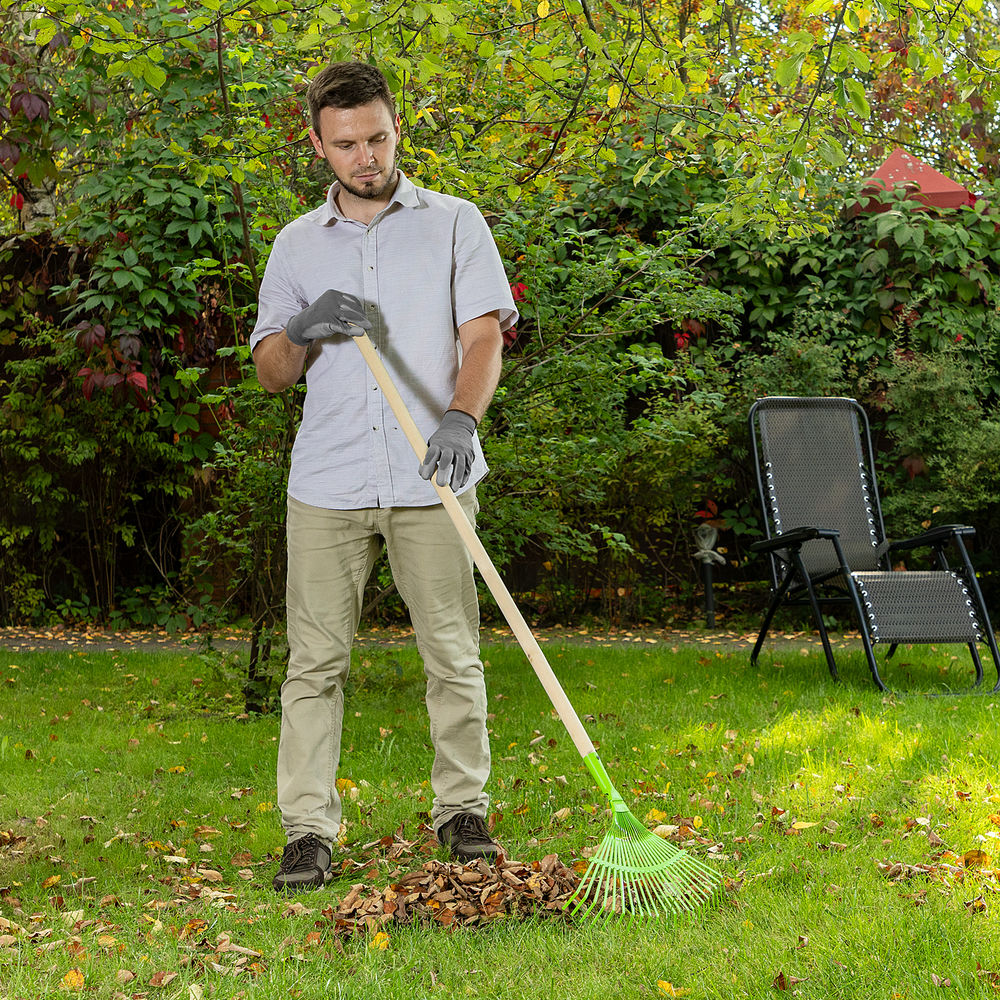 Грабли веерные стальные, 425 мм, 22 плоских зуба, эмалированные, без черенка, Palisad (617705)
