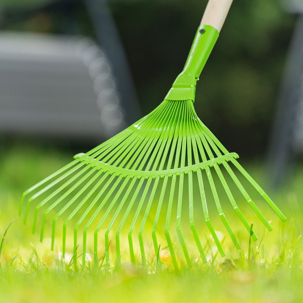 Грабли веерные стальные, 425 мм, 22 плоских зуба, эмалированные, без черенка, Palisad (617705)