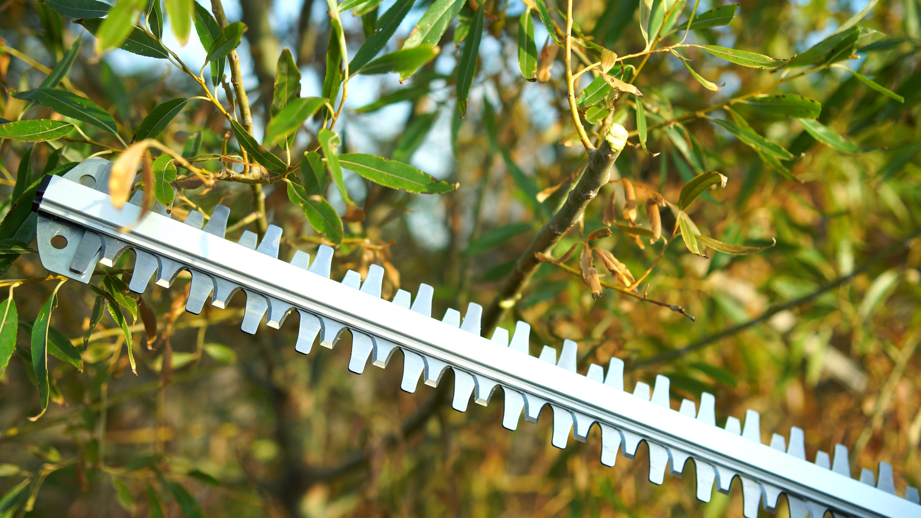 Кусторез аккумуляторный, 58В, 69 см.