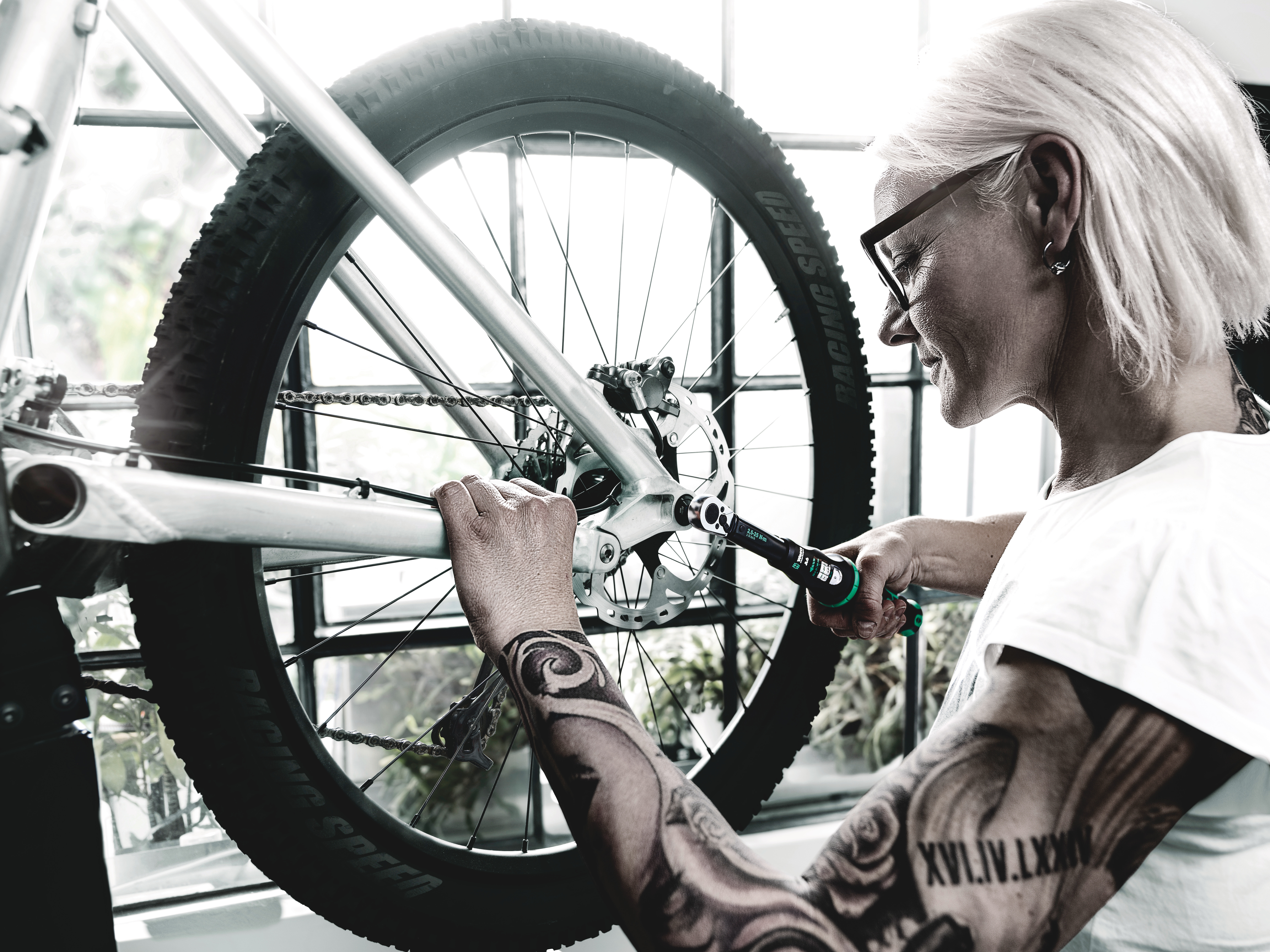 Ключ динамометрический регулируемый A 6, 1/4 шестигранник, 2.5-25 Нм, 290 мм Click-Torque WE-075605