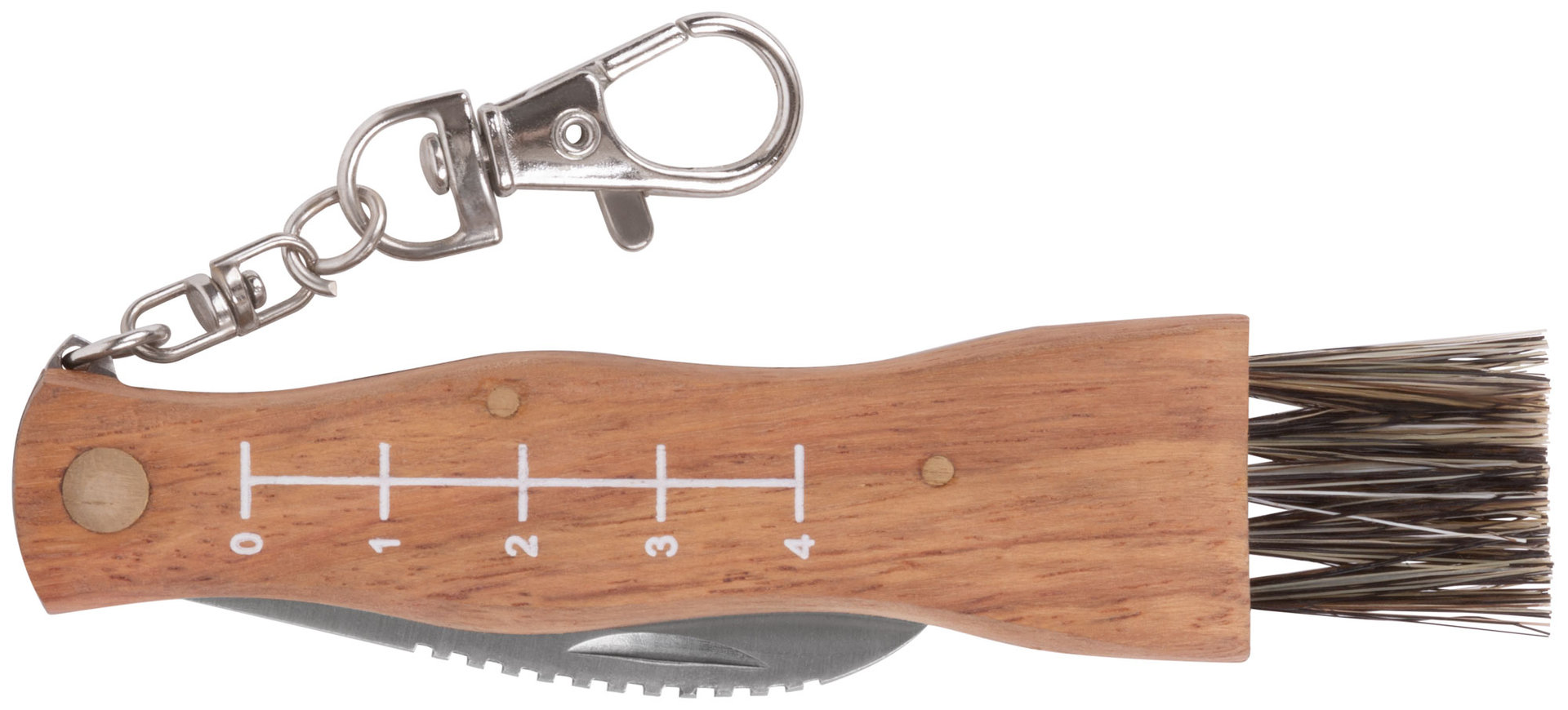 Нож грибника складной, нерж.сталь, деревянная ручка, 170 мм, изогнутое лезвие 45 мм, кисточка, брелок (10745)