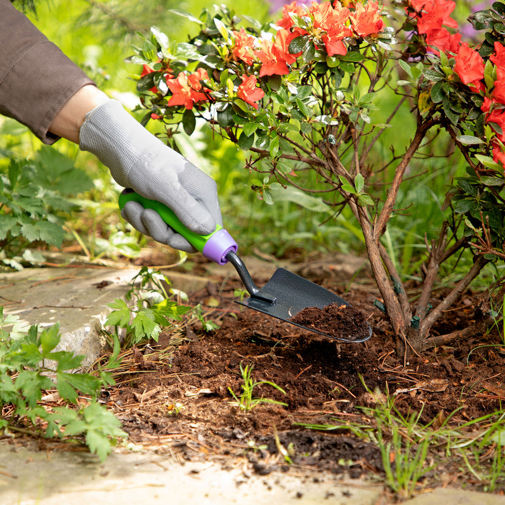 Совок посадочный узкий, 65 х 300 мм, стальной, обрезиненная эргономичная рукоятка, Era, Palisad (62647)