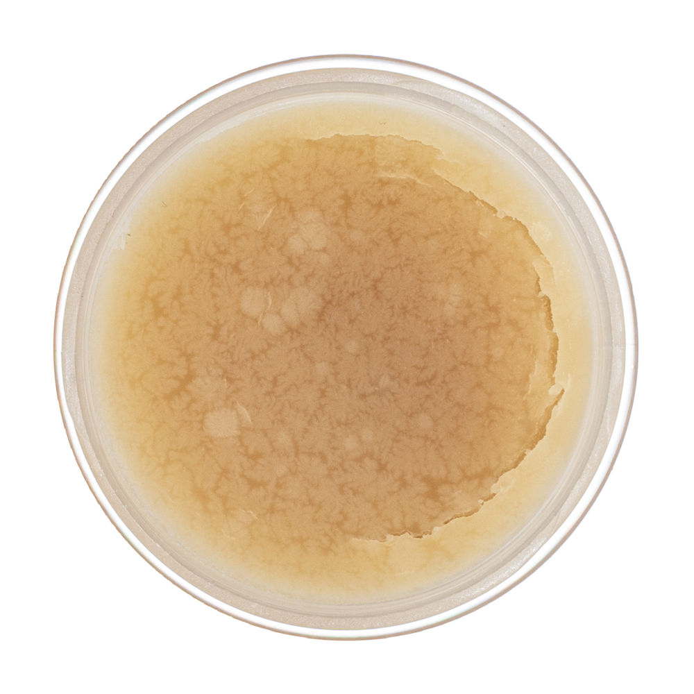 Жир паяльный нейтральный, 20 г Сибртех (913344)