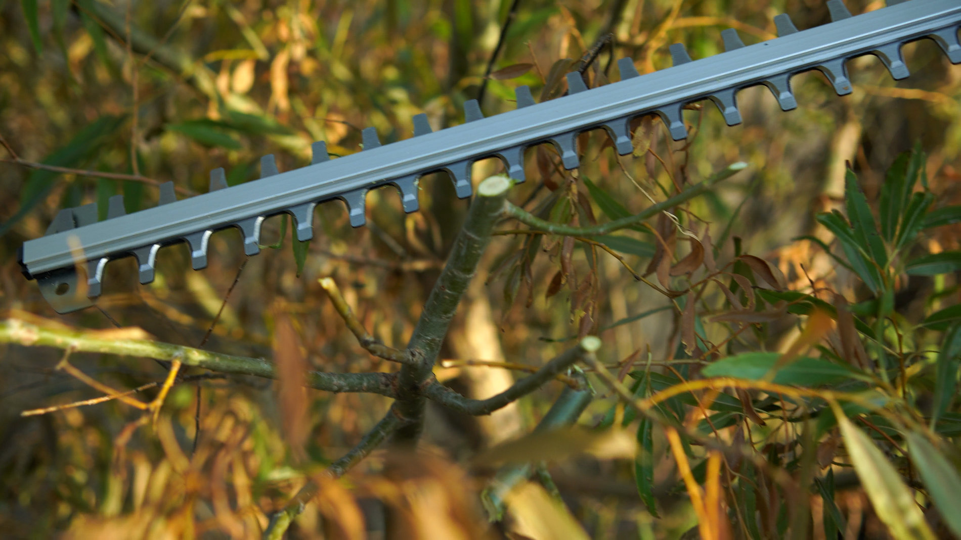 Кусторез аккумуляторный, 58В, 69 см.