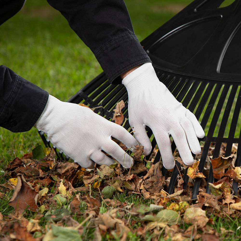 Перчатки в наборе, 4 пары, цвета в ассортименте, ПВХ точка, L, Palisad (67852)